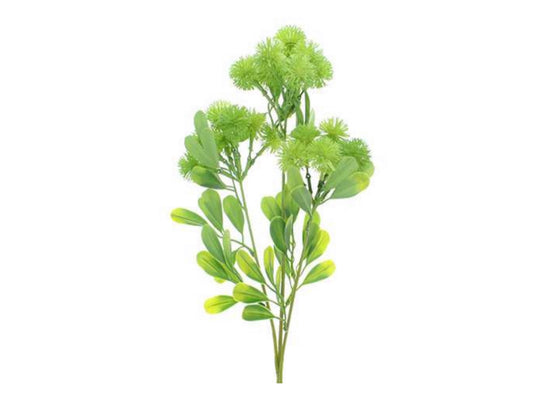 Decorative Greenery