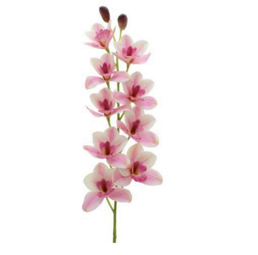 Decorative Orchid Single Stem