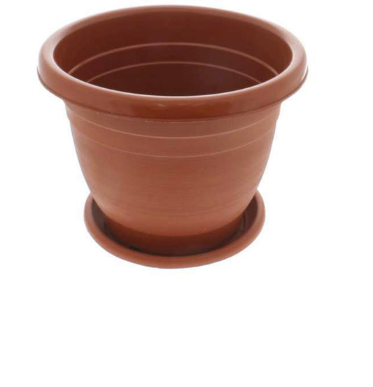 Plant Pot